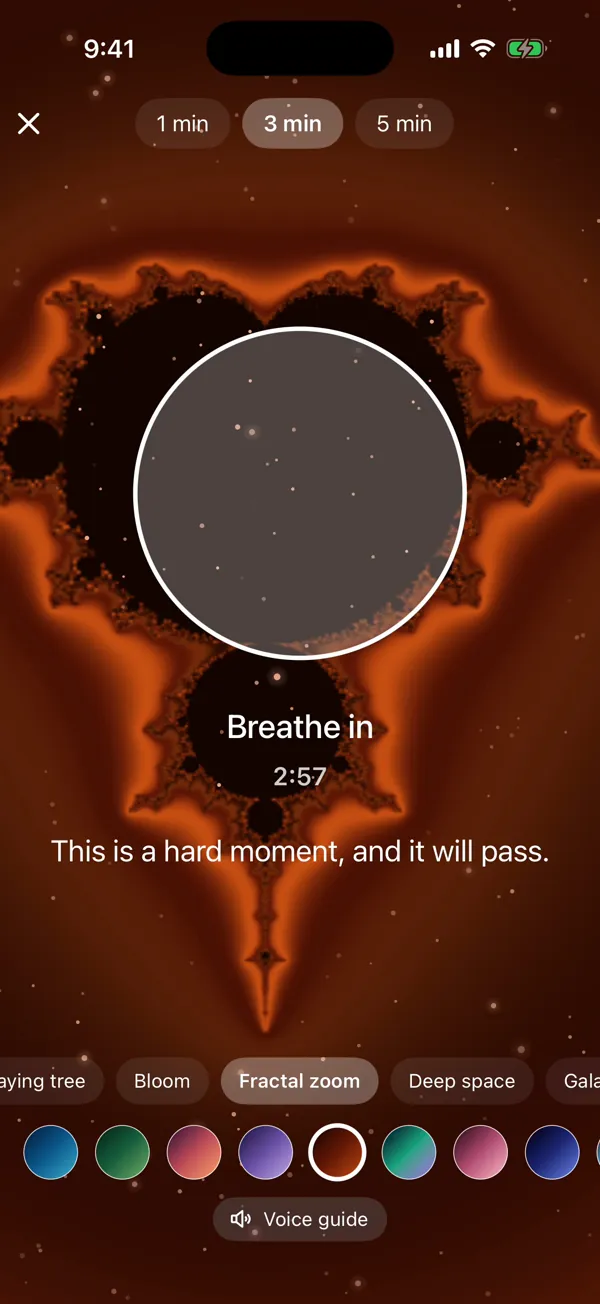 Breathing exercise over a fractal