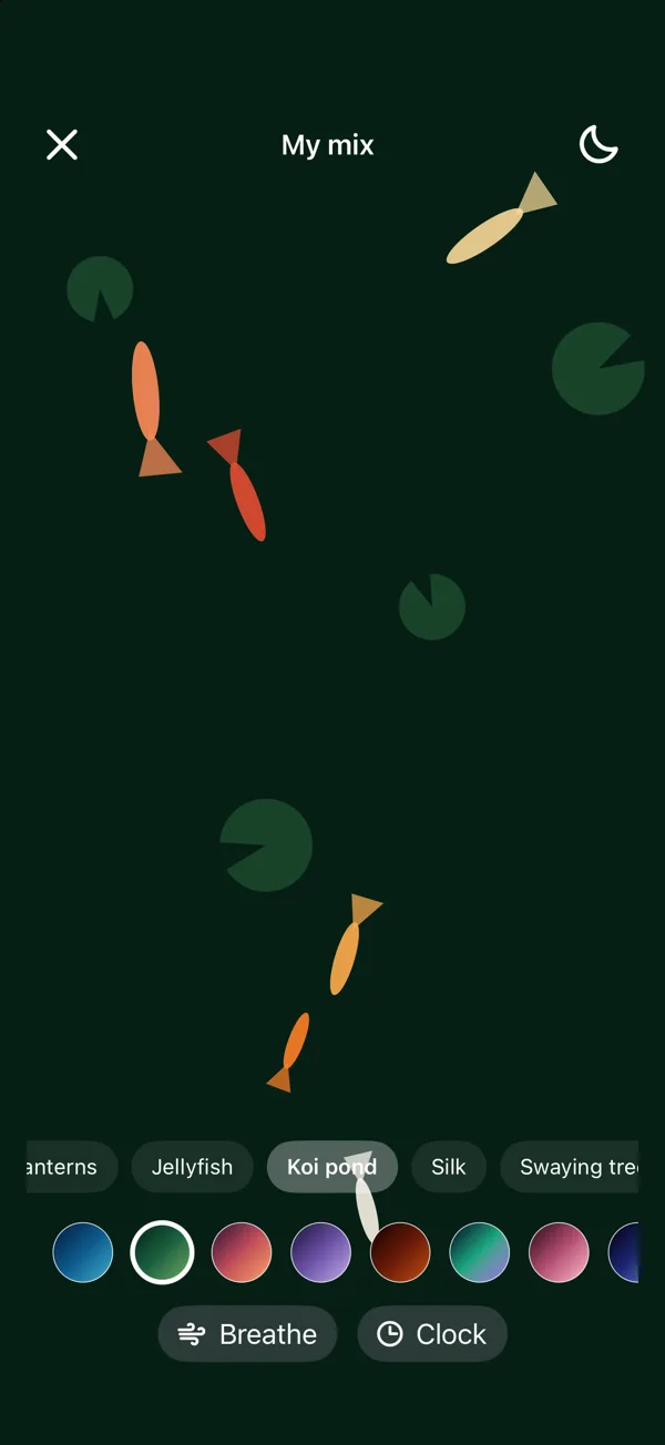 Koi pond visual